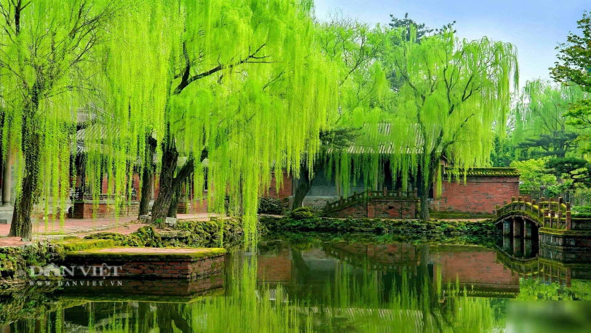 Người xưa cho rằng, khoảng sân trước nhà được gọi là Minh Đường - nơi tụ ánh sáng, tụ gió lành.