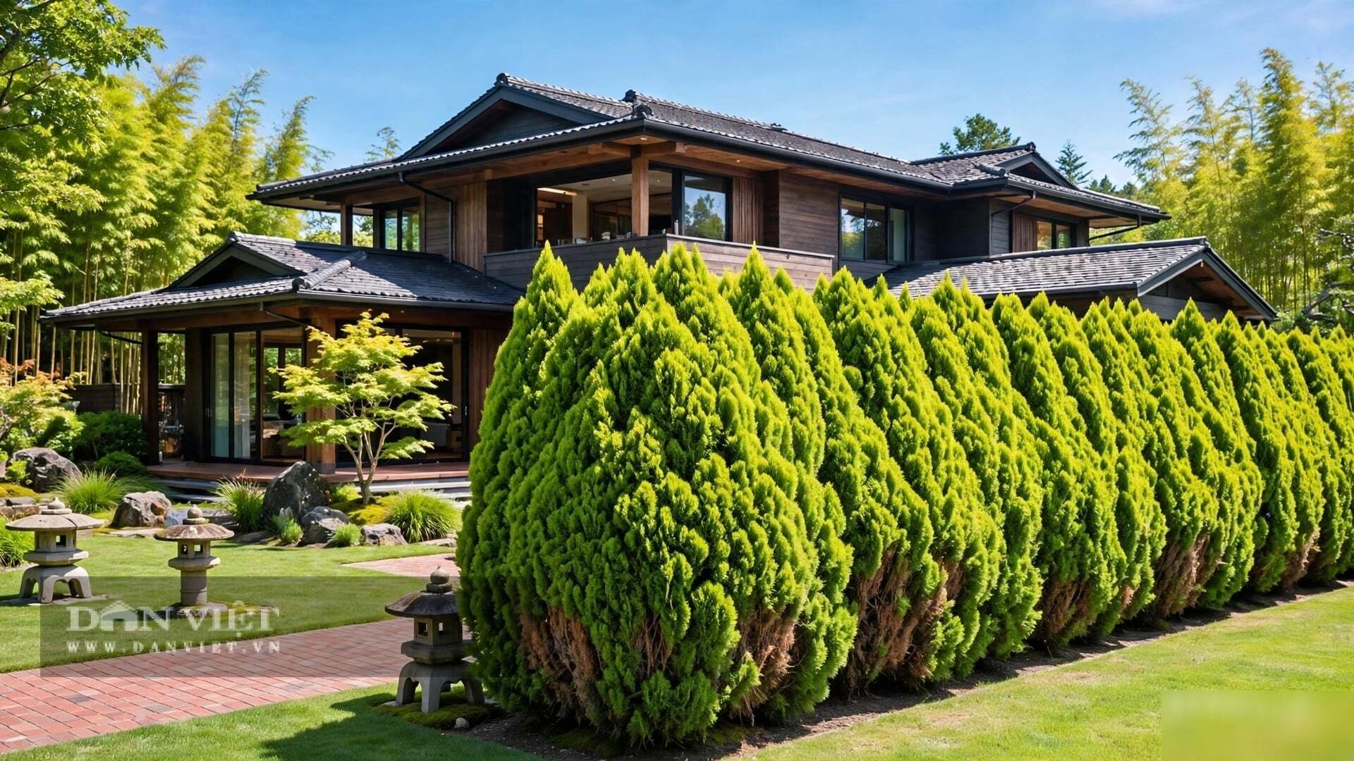 Vì thế người xưa chỉ trồng một chậu bách nhỏ bằng gang tay trên bậu cửa sổ