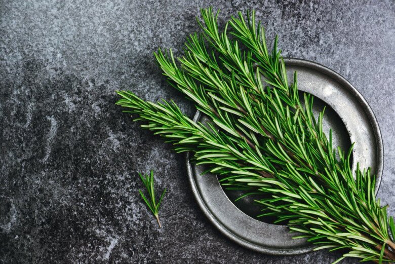 Loại lá được ví như “kim cương”, giá 2 triệu đồng/kg, trồng tại nhà vừa ăn vừa làm thuốc, lên chậu làm bonsai giúp hút lộc - 2