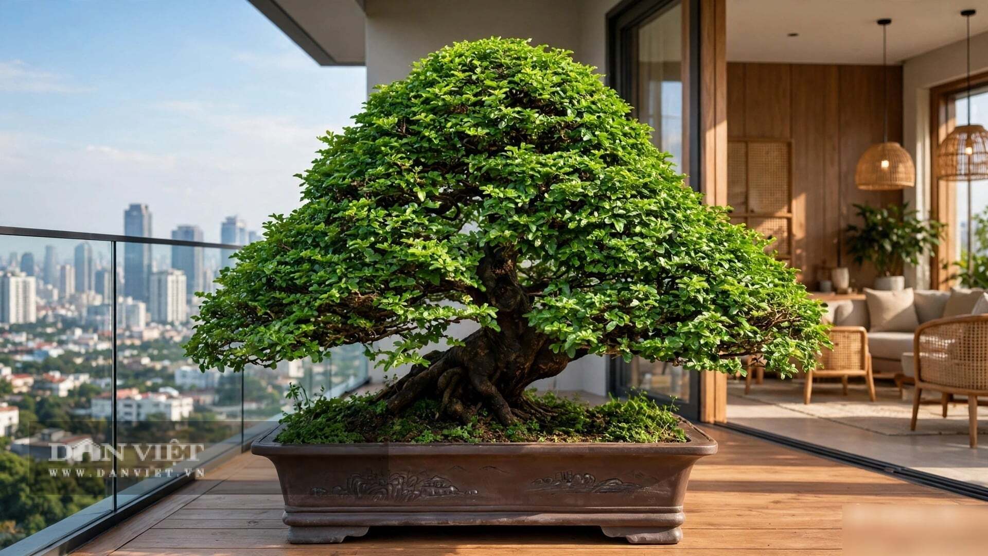Cây cảnh có thể cùng lúc có hoa, quả xanh, quả chín