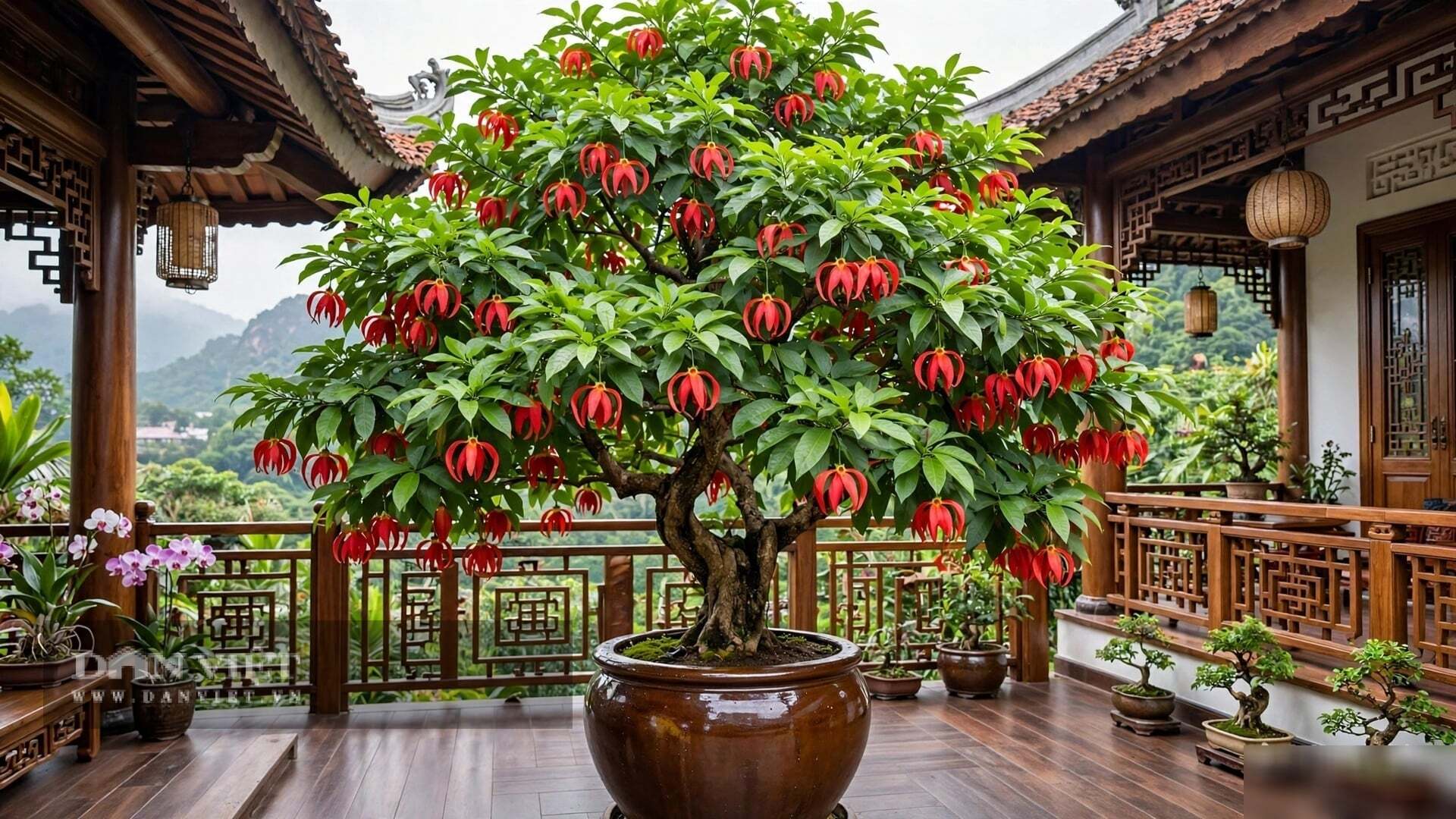 Điều làm nên linh hồn của cây cảnh này, chính là hương