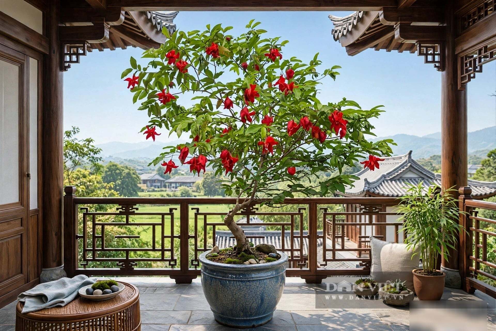Hương dẻ đỏ thơm một cách kỳ lạ