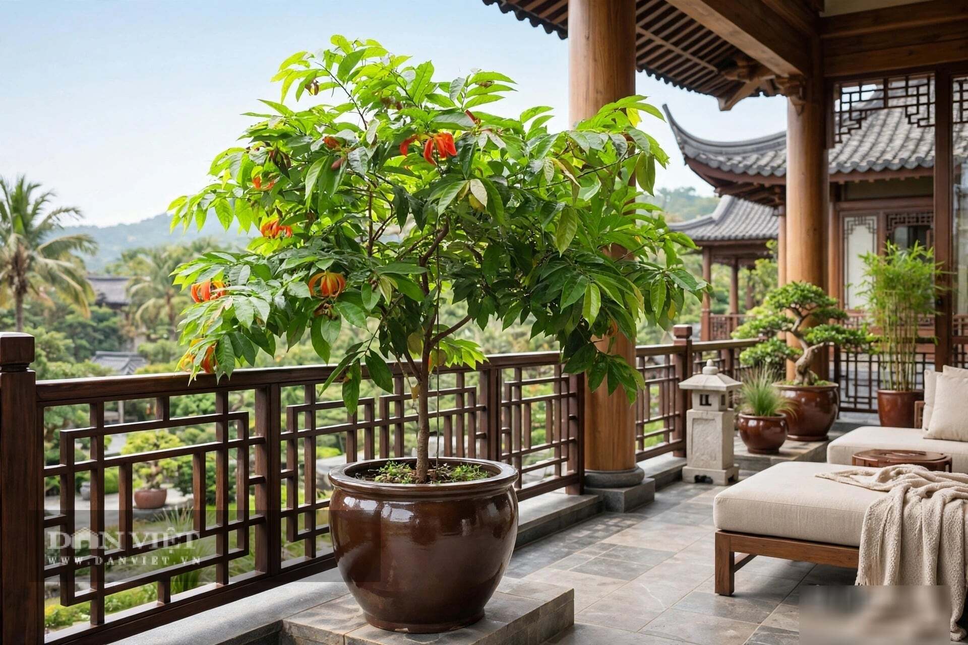 Hương thơm nồng nàn của cây cảnh lại chủ về nhân duyên