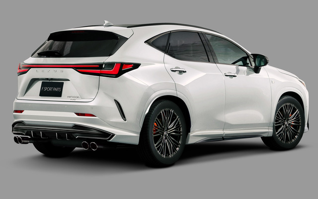 Mới nghe xe Toyota độ lên Lexus nhưng giờ Lexus NX đời mới có gói độ mới từ Toyota - Ảnh 3.