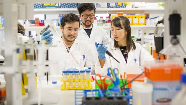 Dr Raymond Wong (centre) and his team are aiming to deliver new hope to 190 million people worldwide