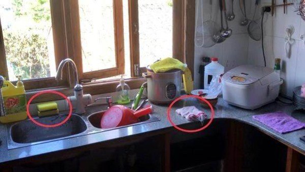 5 món đồ nhà bếp dễ thành ổ vi khuẩn, nhà nào cũng dùng mà không ai nhận ra - 3