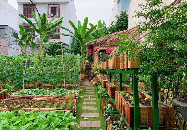 Rắc muối quanh nhà vào những ngày mưa, nghe vô lý nhưng tác dụng tuyệt vời - 1