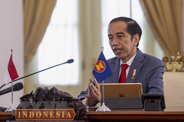 Indonesia nhan manh ve hop tac y te trong quan he ASEAN-An Do hinh anh 1