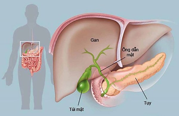 Không phải mê tín - Giờ sinh tiết lộ nguy cơ căn bệnh bạn dễ mắc phải, phòng ngừa chẳng thừa - 1