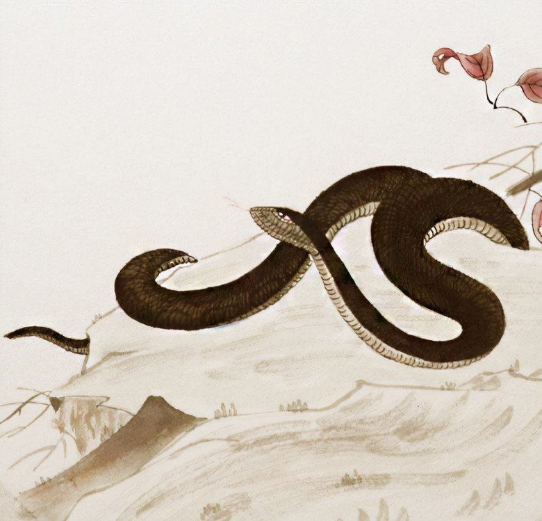 3 con giáp nữ thích tiết kiệm tiền nhất, giàu có là điều trong tầm tay - 3