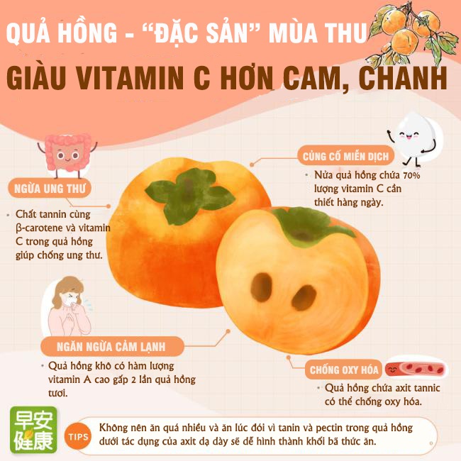 amp;#34;Đặc sảnamp;#34; mùa thu giàu vitamin C hơn cam, chanh nhưng những người này ăn không cẩn thận dễ mổ ruột - 1