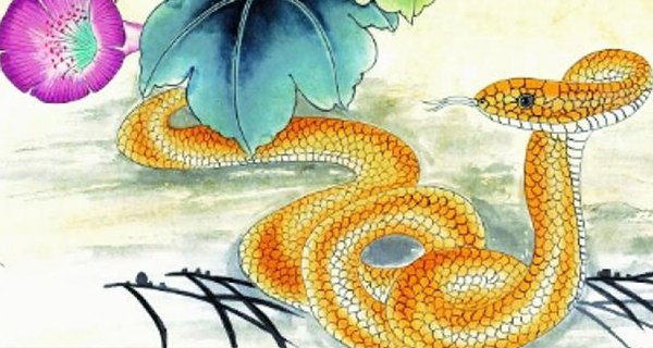 4 con giap cuoi 2022 ngoai co quy nhan, trong tien chat ket-Hinh-3