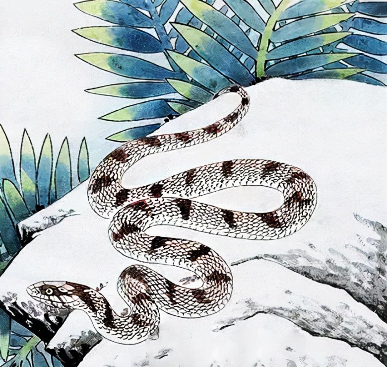 Cuối tháng 10, 3 con giáp này giàu phúc khí và may mắn nhất - 1