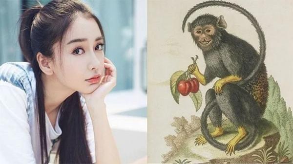 Du doan ngay moi 23/10/2022 cho 12 con giap: Mao vuong tai, Dan lao dao-Hinh-9