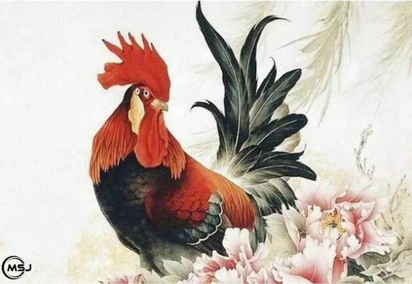 Tử vi hàng ngày 12 con giáp thứ Bảy 29/10/2022: Bản lĩnh hổ giấy-3