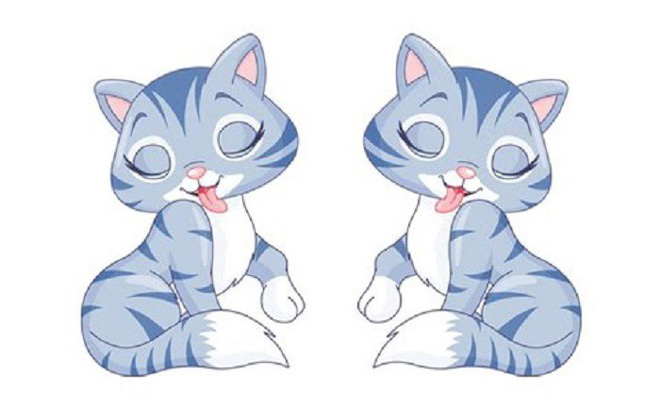 Du doan ngay moi 30/10/2022 cho 12 con giap: Ty vuong tai, Thin xui xeo-Hinh-4