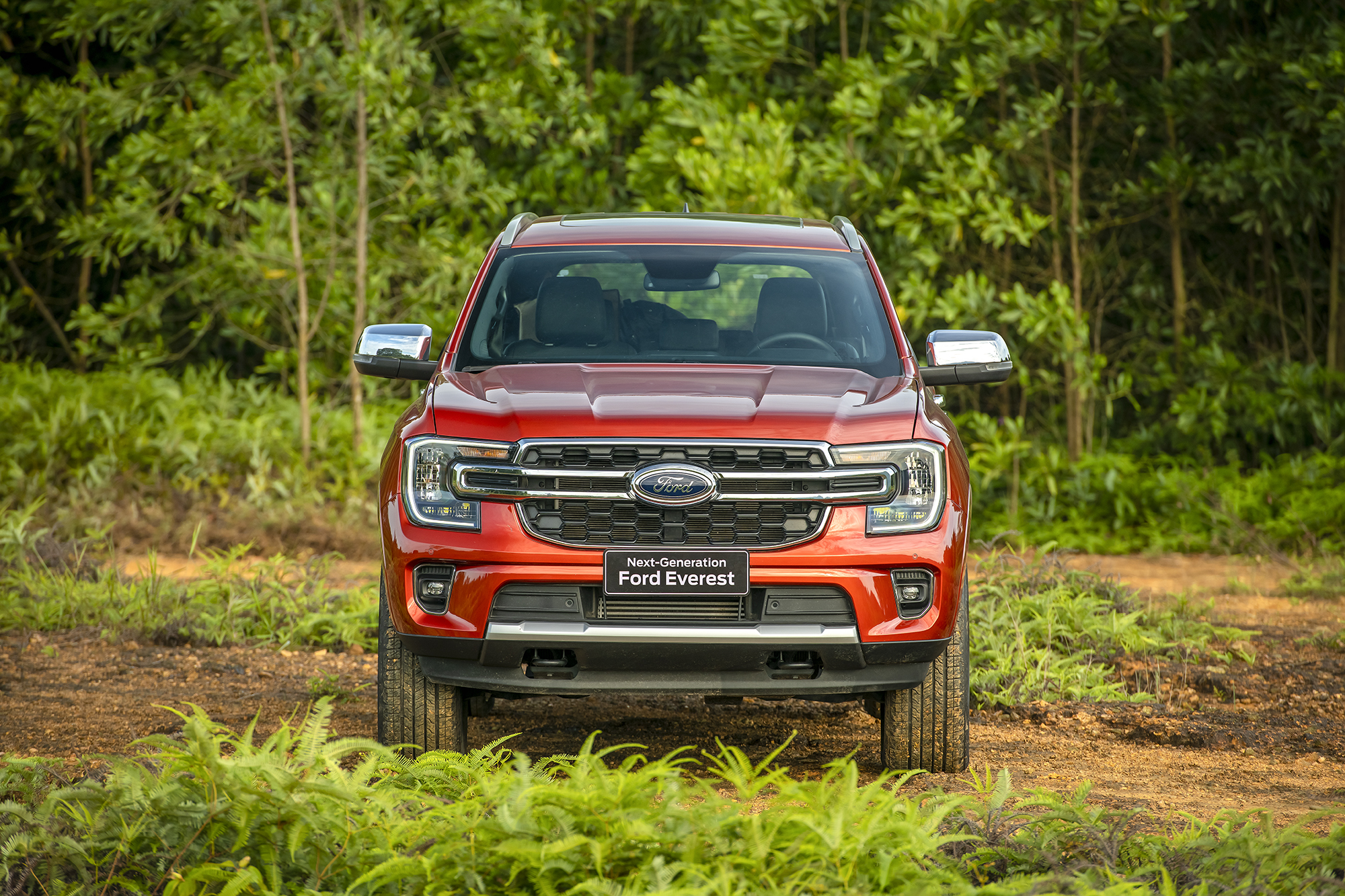 Ford Everest - Ảnh 4. Ford Everest - Ảnh 4.