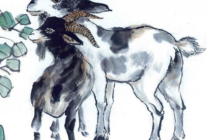 4 con giáp tính cách ôn hòa, kín đáo, nhất định sẽ giàu sang - 2