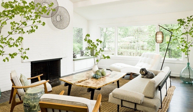 Trồng cây xanh sẽ giúp không gian phòng khách trở nên thông thoáng và gần gũi với thiên nhiên.