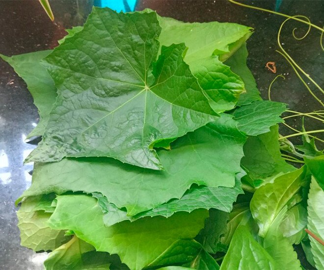 Món xưa nhà nghèo mới ăn, nay thành đặc sản làm đủ món ngon được ưa chuộng, tốt cho sức khỏe - 1