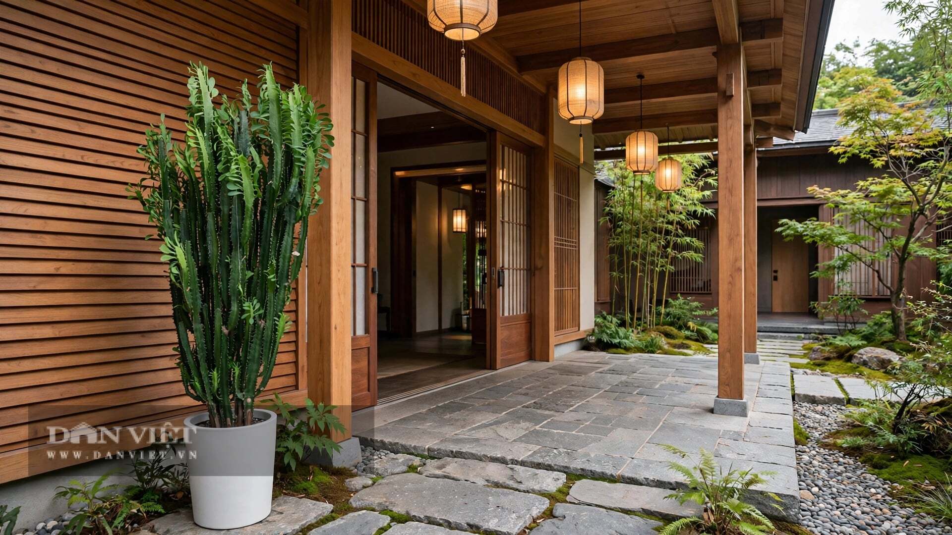 Cây cảnh thuộc họ Đại kích