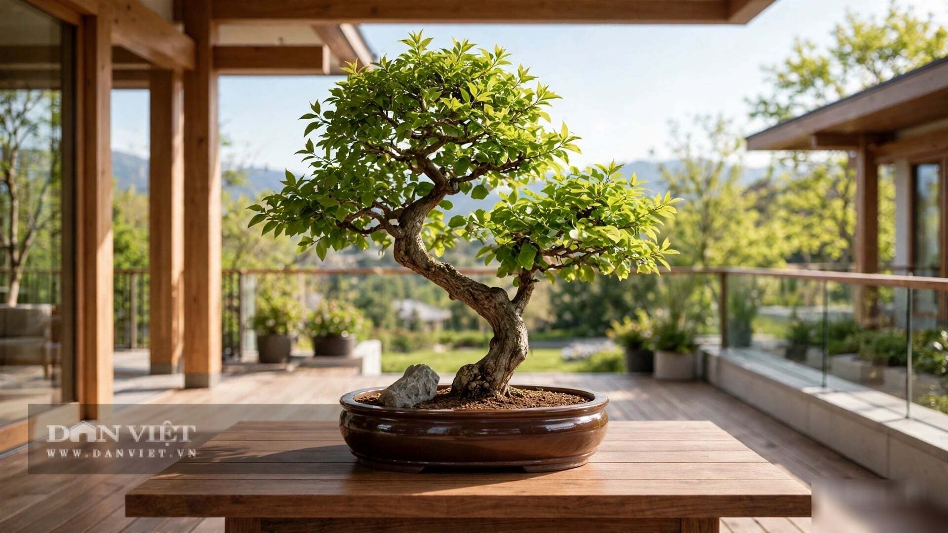 Trâm bầu bóng mang hành Mộc