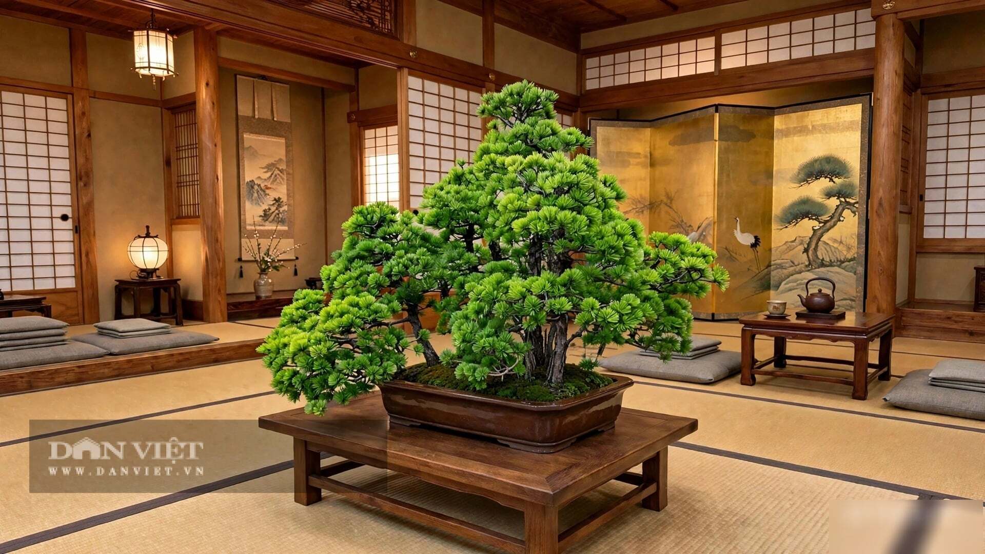 3 cây cảnh bonsai cát tường, trồng trong nhà hoá giải xui xẻo, thu hút may mắn, mang lại bình an - 7