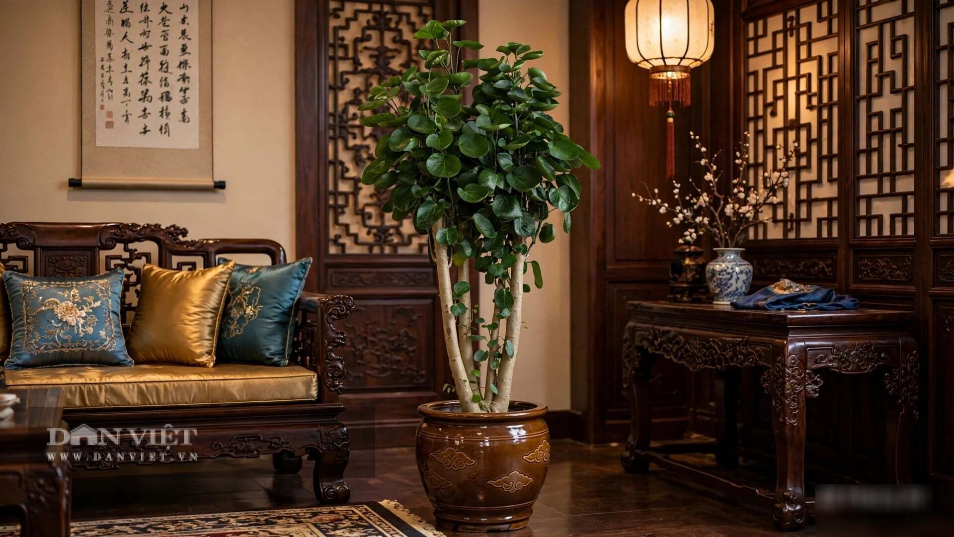 Cây cảnh có dáng bụi