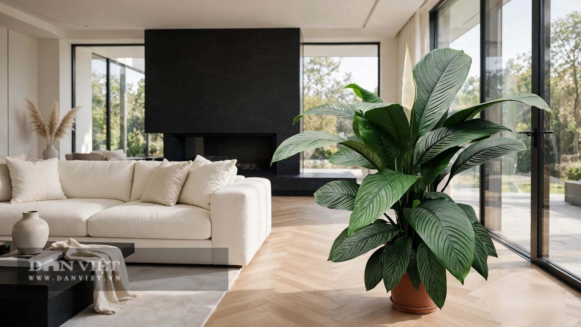 Cây cảnh càng xanh thì sinh khí càng vượng