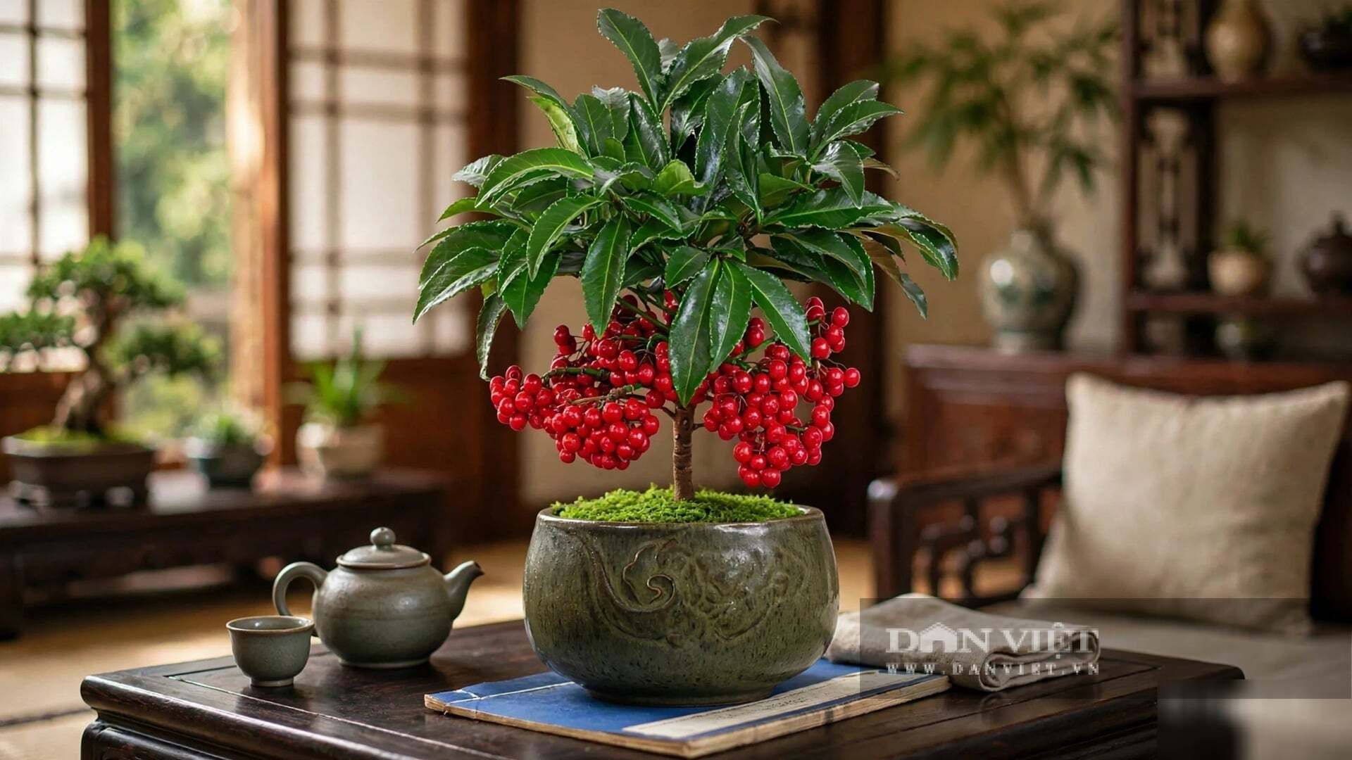 Cây cảnh âm thầm kết quả