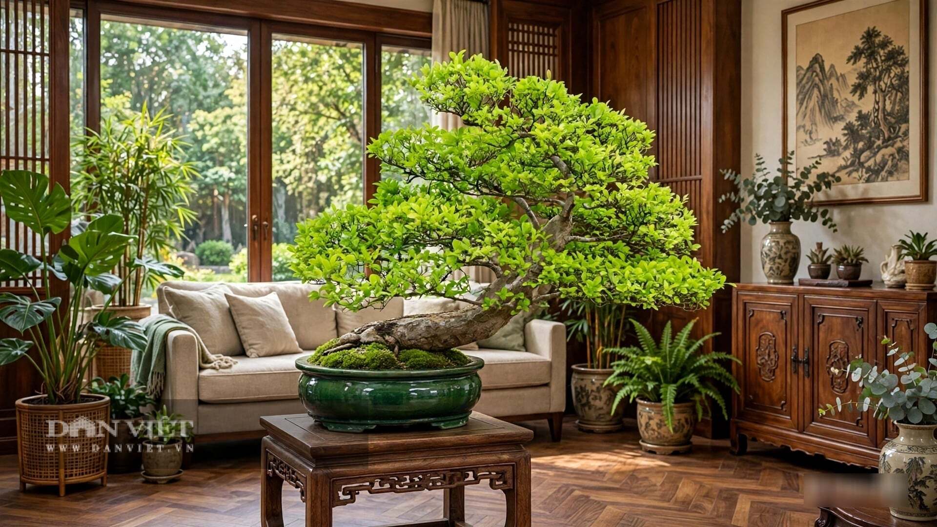 Cây cảnh phát triển chậm
