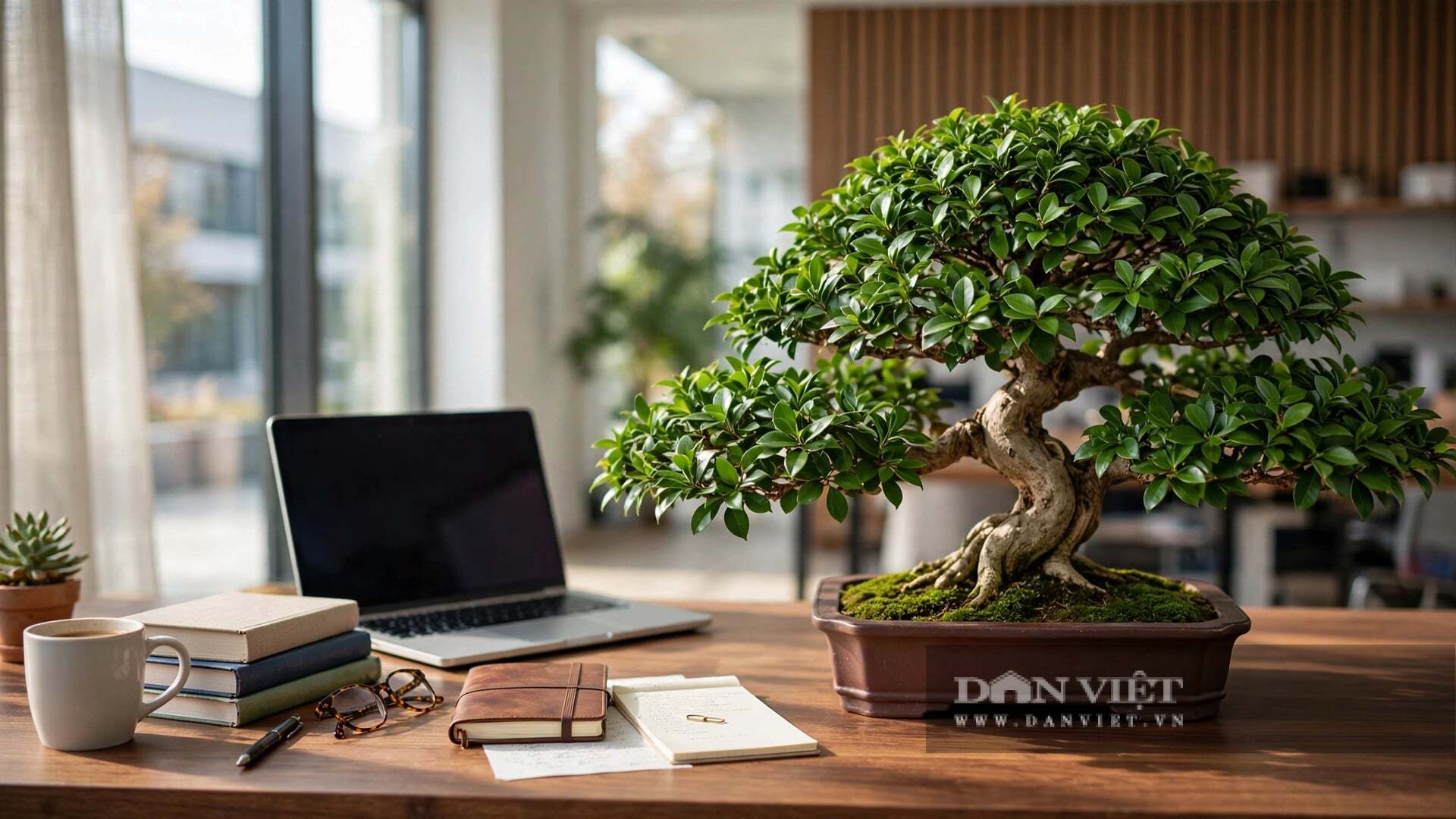  ãy nhớ bốn chữ vàng: Khô mới tưới 