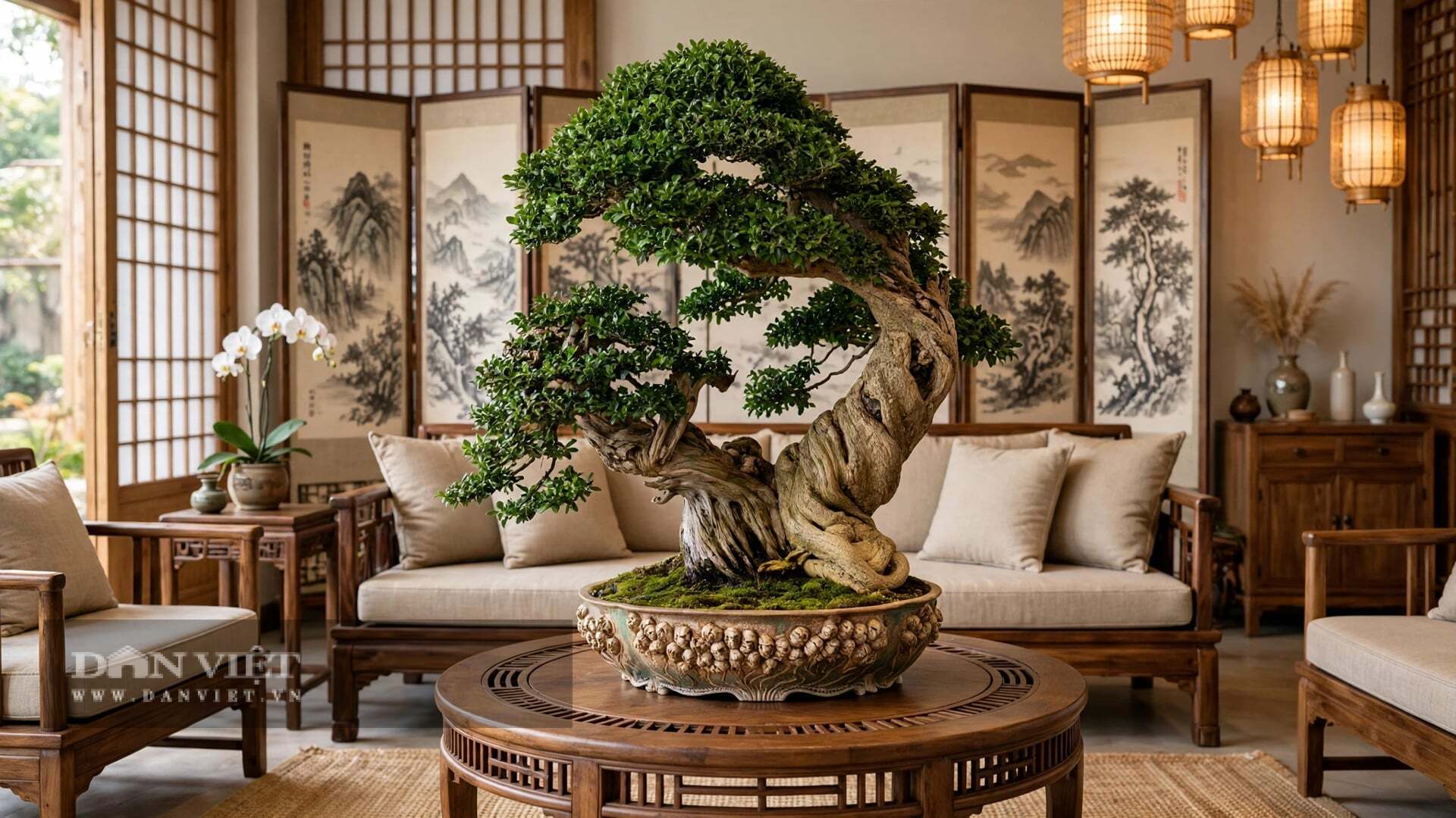 Cây cảnh có sức sống bất diệt