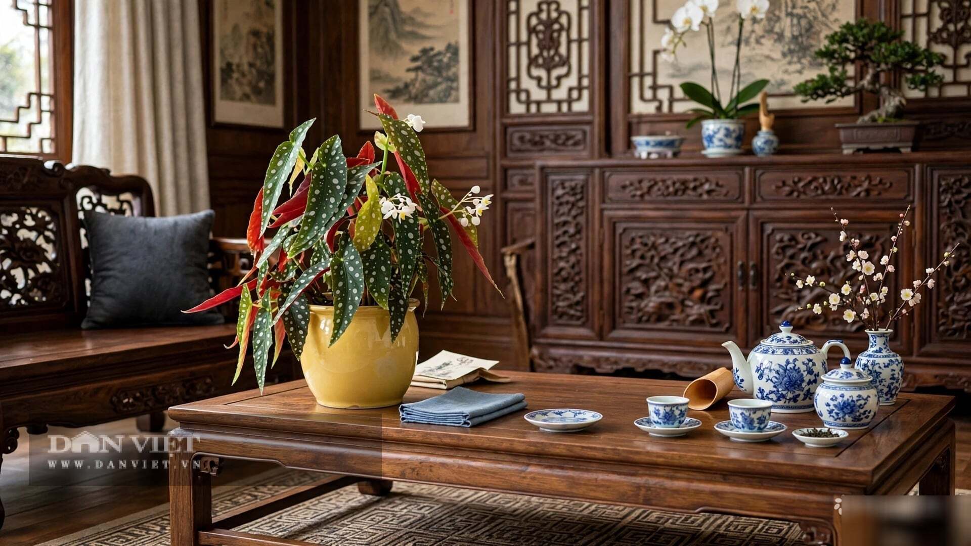 Hoa chỉ làm nền cho lá.