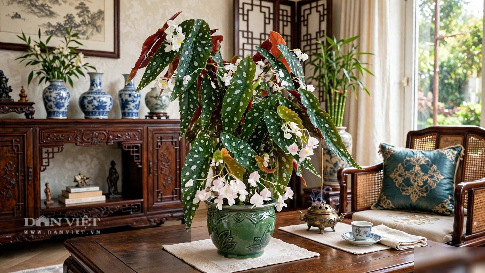 Một chiếc lá xanh biết an nhiên trước nắng gió cuộc đời