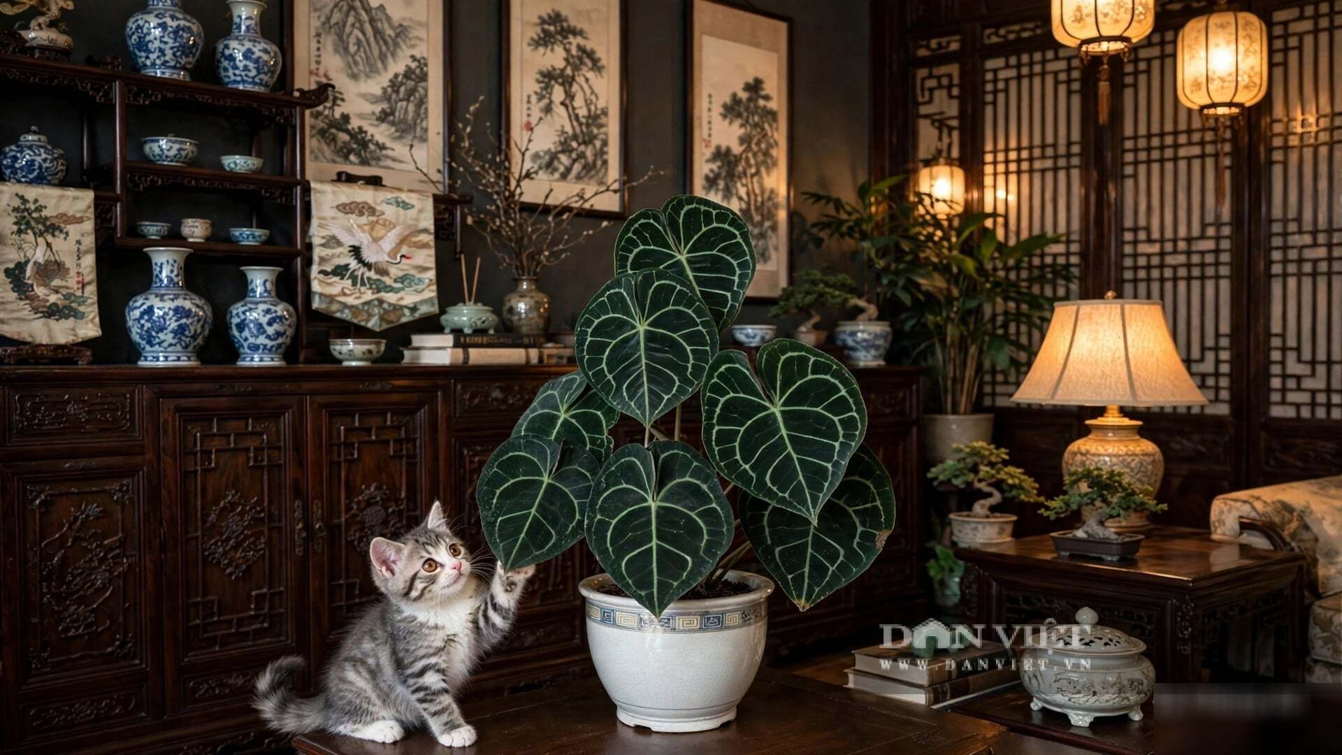 Cây cảnh là biểu tượng tình yêu