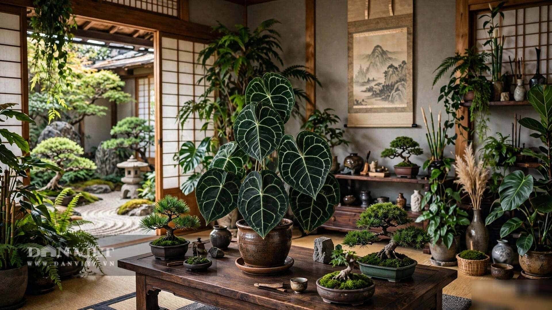Vẻ đẹp của cây cảnh không nằm ở sự hoàn hảo