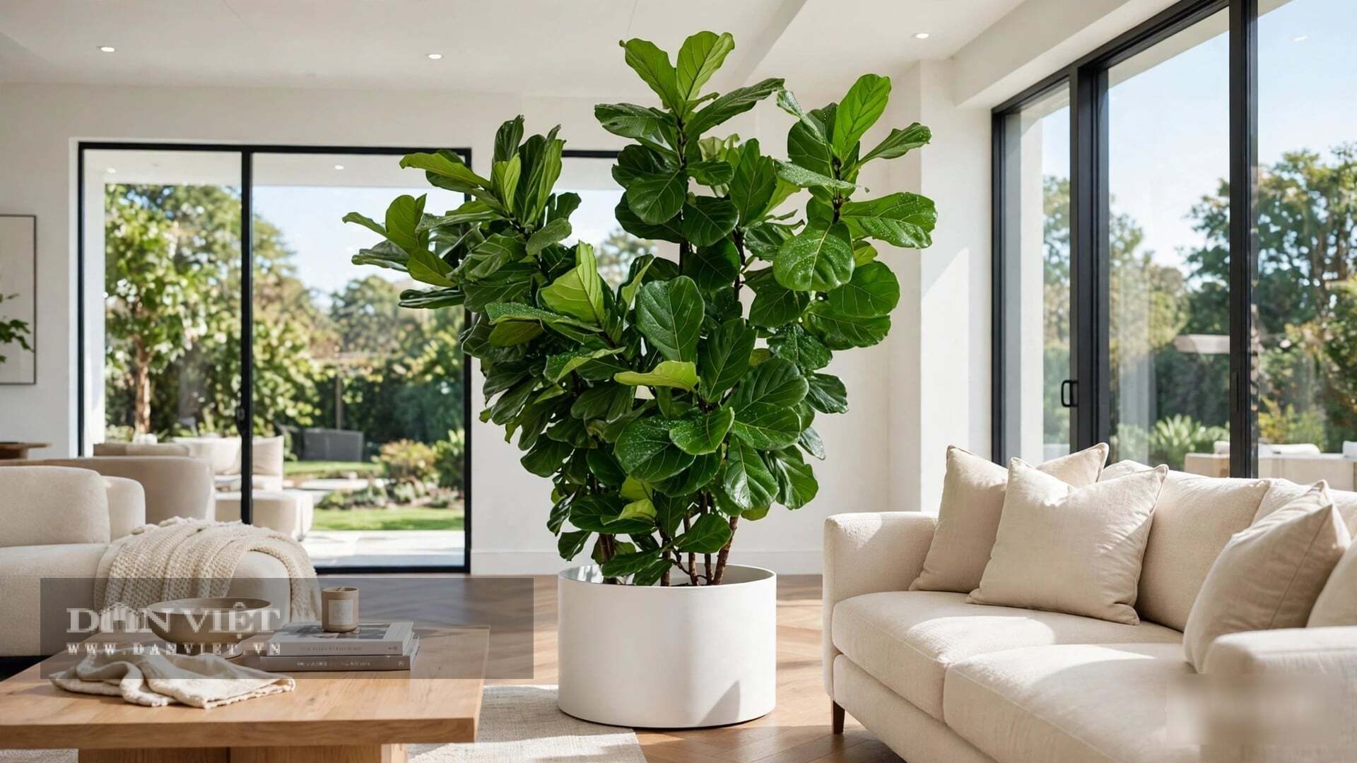 Vẻ đẹp của cây cảnh là vẻ đẹp của sự kiến trúc.