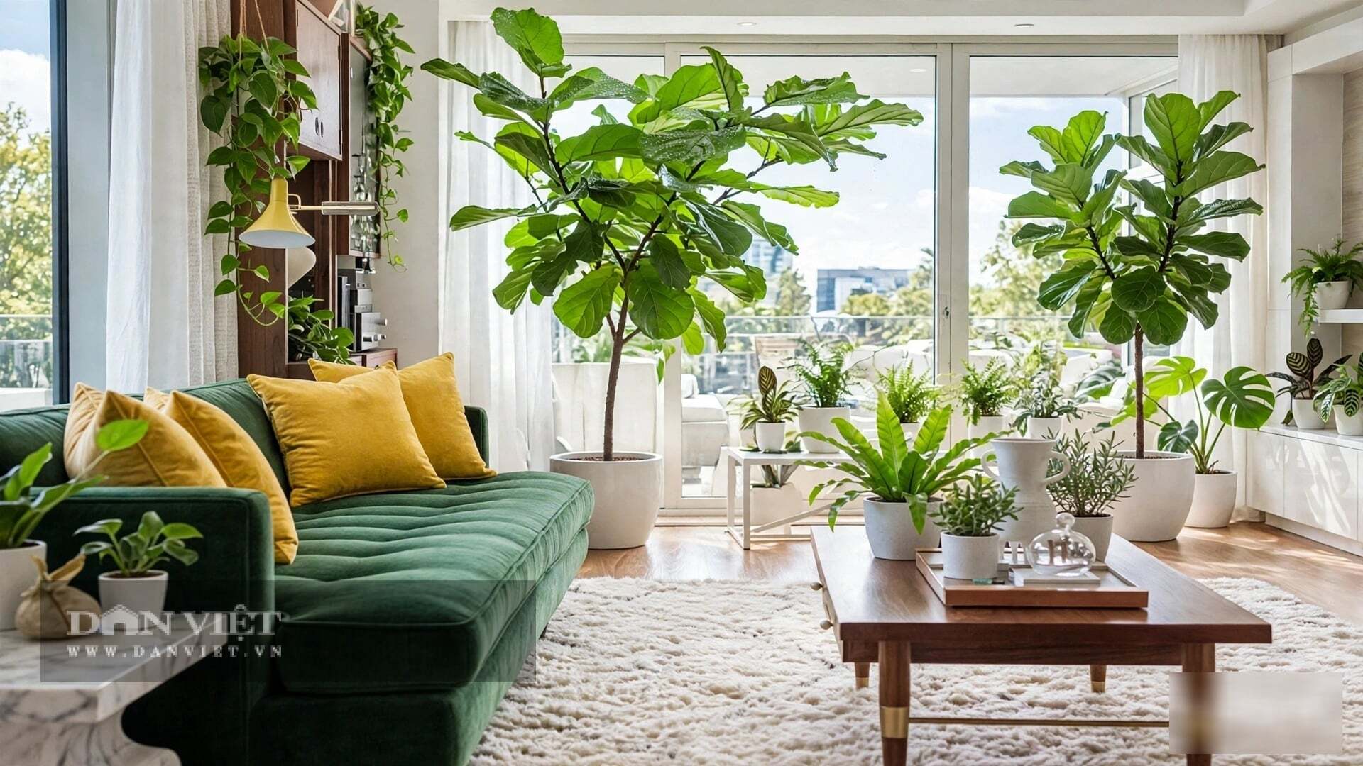 Cây cảnh mang ý nghĩa chiêu tài