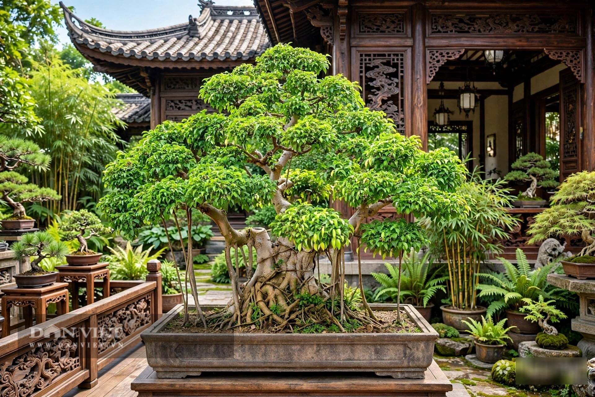 Chơi sanh, ta học được đức tính bao dung