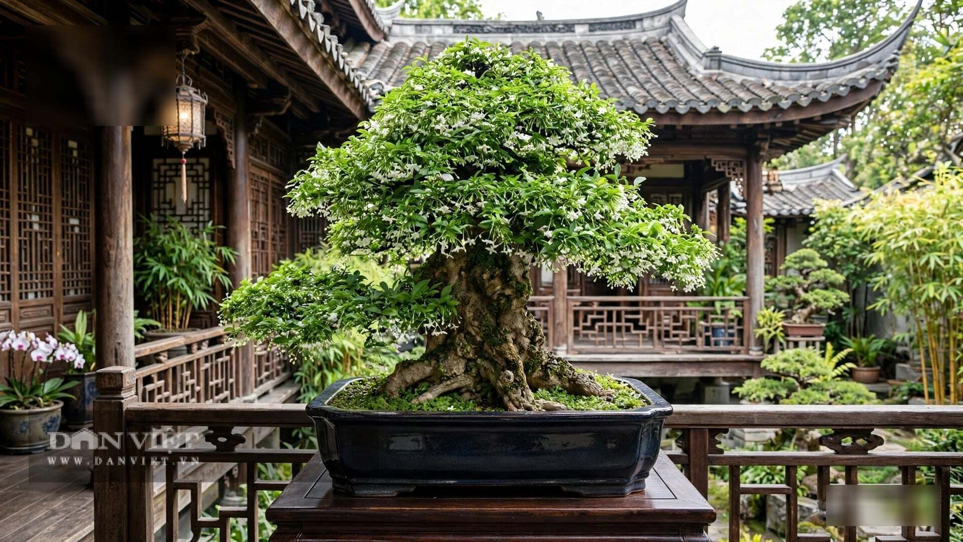 Mai chiếu thủy đẹp một cách kín đáo.