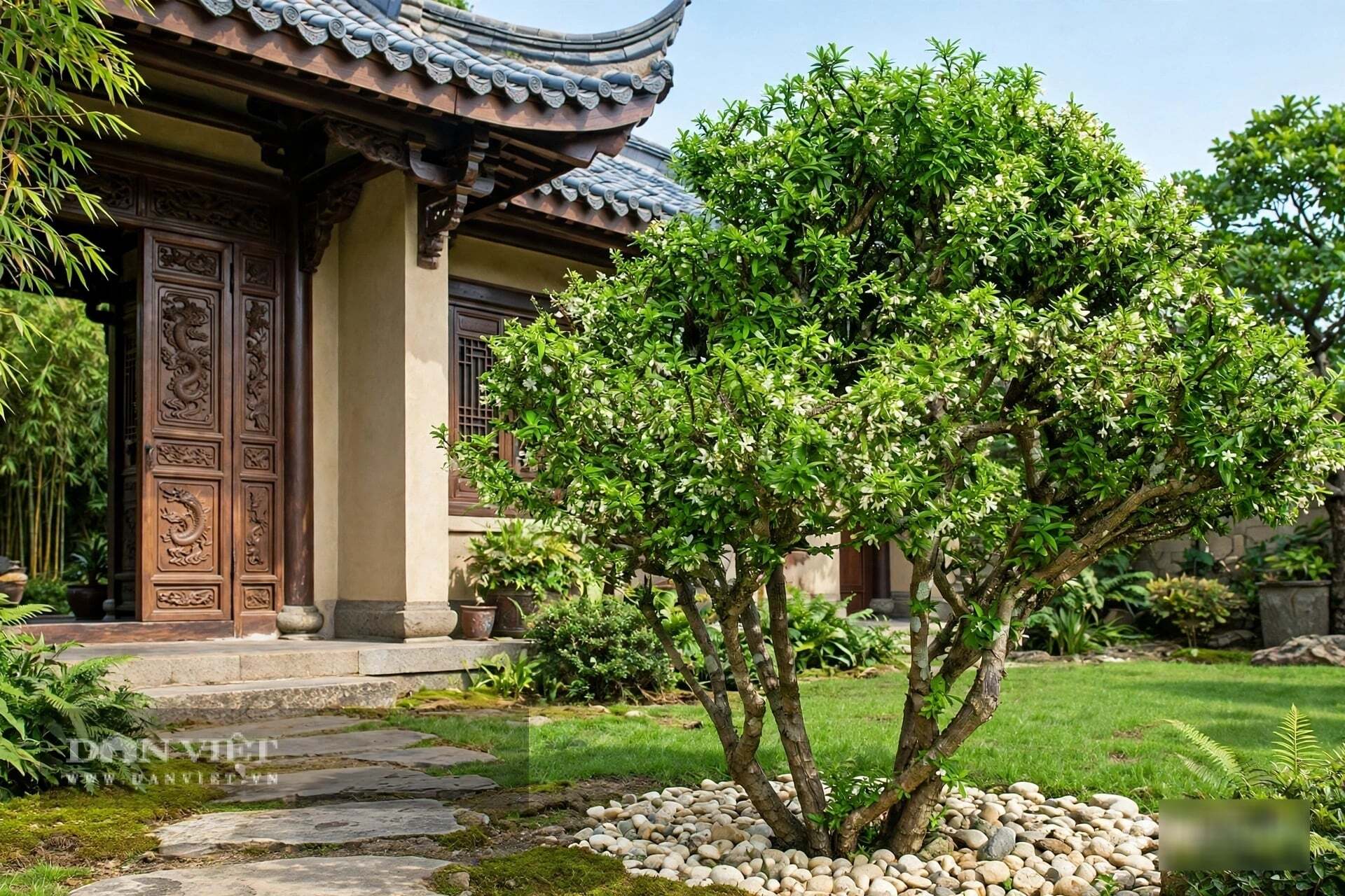 Đó là mùi hương của sự an nhiên.