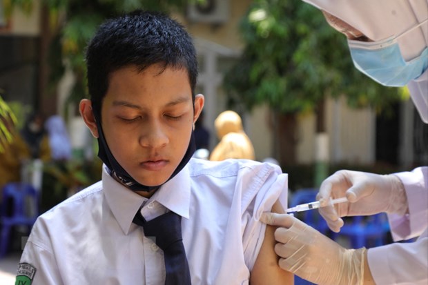 Indonesia cap phep su dung vaccine cua Sinovac cho tre em tu 6-11 tuoi hinh anh 1