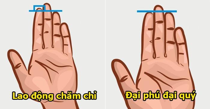 Bàn tay có 8 đặc điểm chứng minh 3 đời tiêu không hết của-1