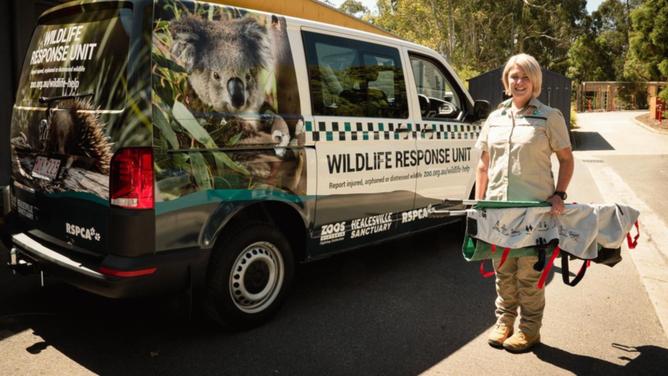 The new response vehicle is already transporting injured wildlife to Healesville's animal hospital.