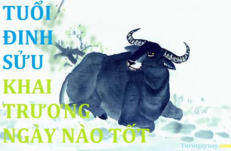 Tuổi Đinh Sửu 1997 khai trương ngày nào tốt trong năm 2022 Nhâm Dần?