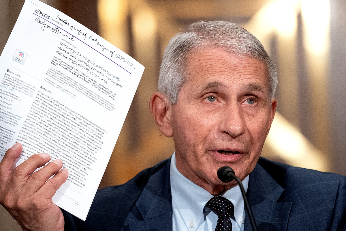 Tiến sĩ Anthony Fauci trong phiên điều trần tại Thượng viện hồi tháng 7. Ảnh: Reuters.