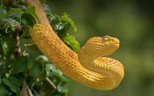 Ngày 10/11 Thiên Phúc rót lộc, giúp 3 tuổi đếm tiền mỏi tay-2