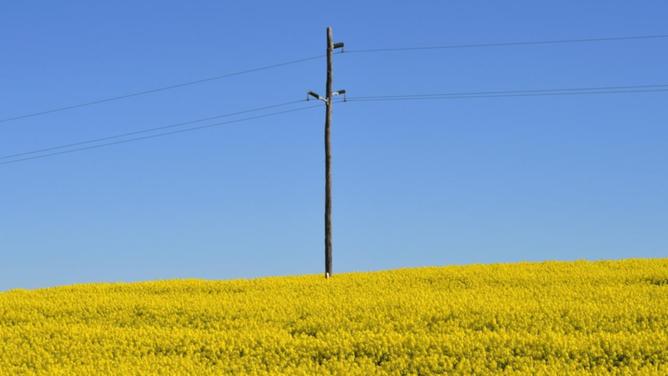 A report has found consumers want Australian farmers to be more sustainable. (Mick Tsikas/AAP PHOTOS)