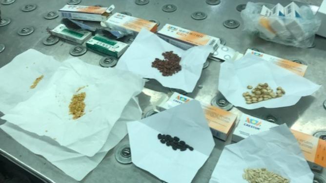 Some of the items seized by biosecurity officers at Australian airports in the second half of 2022. Department of Agriculture, Fisheries and Forestry.